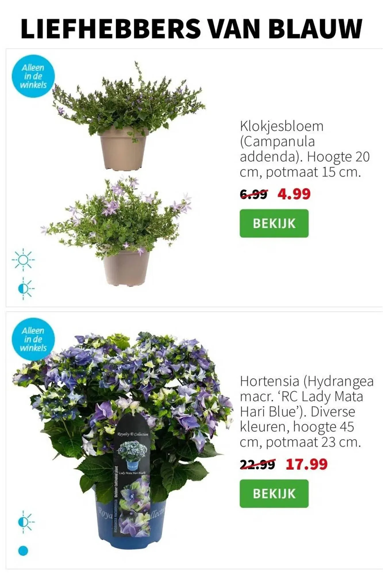 Intratuin folder van 14 juli tot 20 juli 2025 - Folder pagina 6