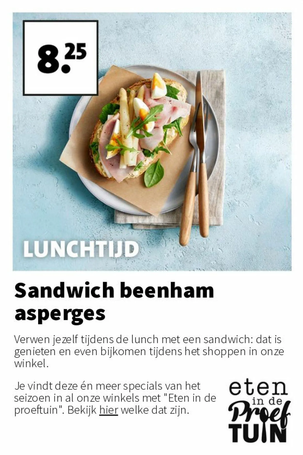 Intratuin Actuele folder van 17 augustus tot 31 augustus 2025 - Folder pagina 15