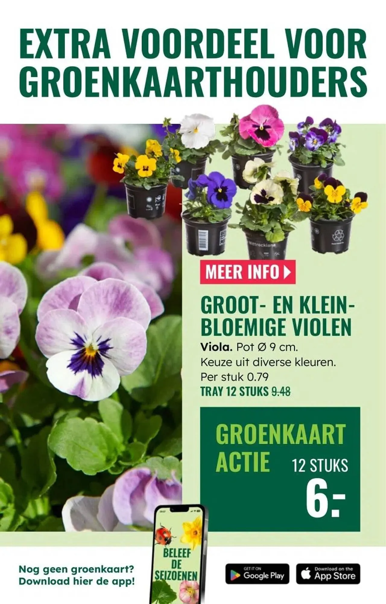 GroenRijk folder van 5 maart tot 11 maart 2026 - Folder pagina 5