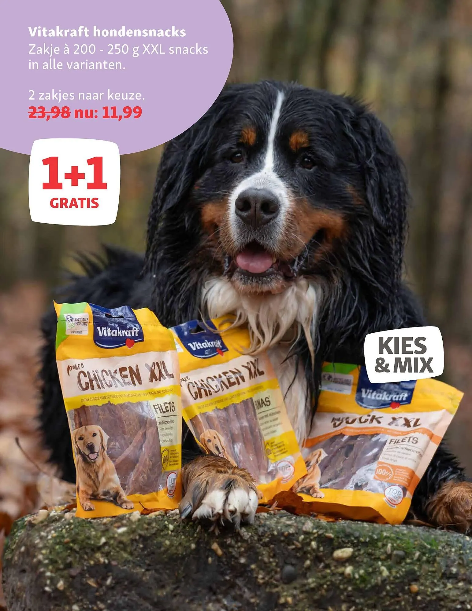 Maxi Zoo folder van 24 november tot 27 november 2025 - Folder pagina 8