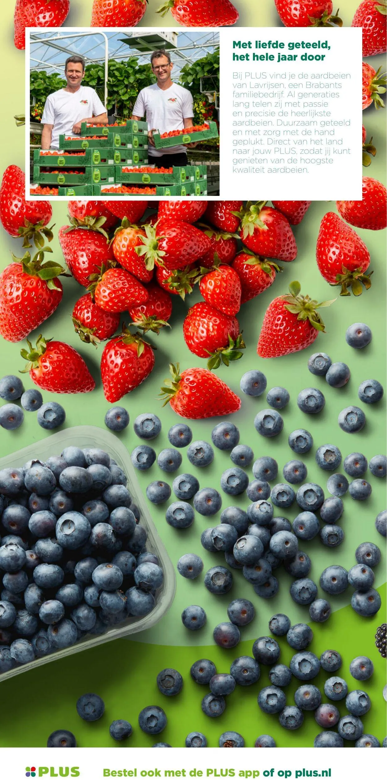 Plus Actuele folder van 30 november tot 14 december 2025 - Folder pagina 2