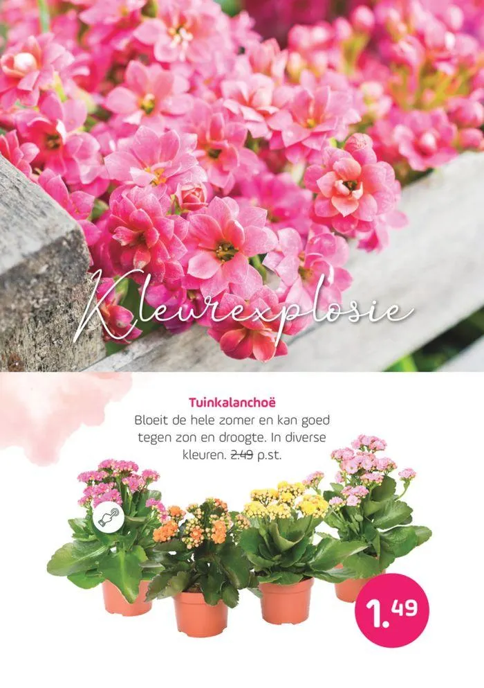 Buitenleven van 16 mei tot 30 mei 2024 - Folder pagina 7