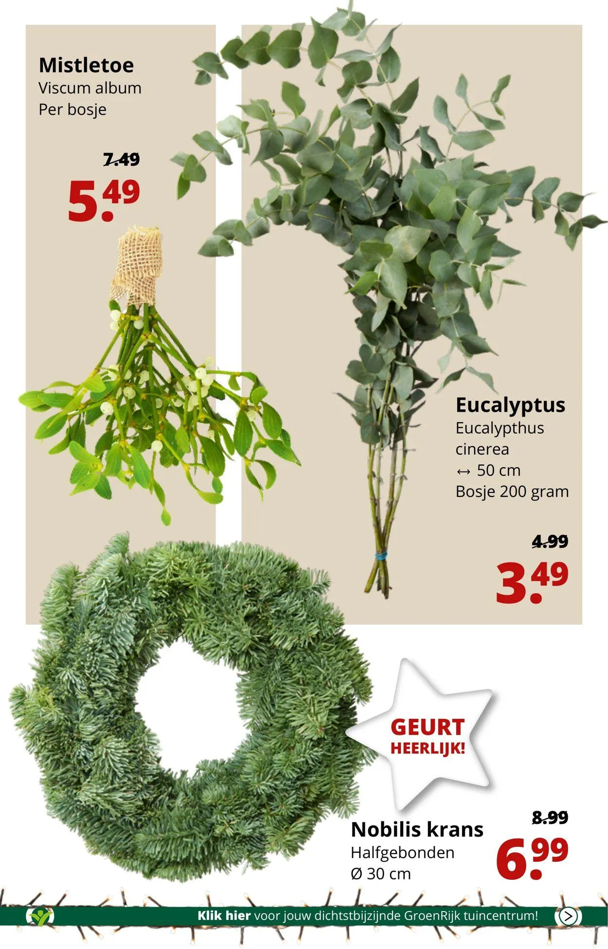 GroenRijk Actuele folder van 15 april tot 29 april 2025 - Folder pagina 17