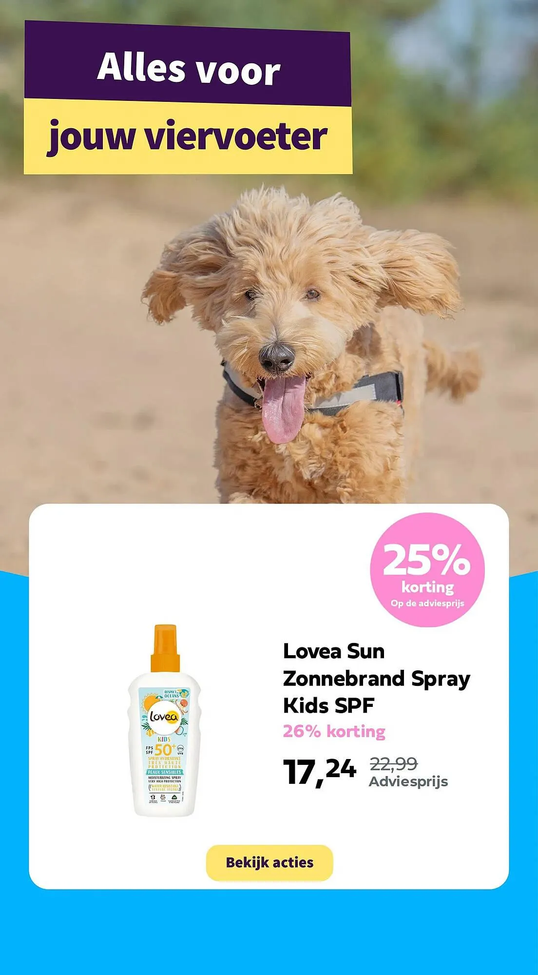 Plein.nl folder van 13 april tot 17 april 2025 - Folder pagina 13