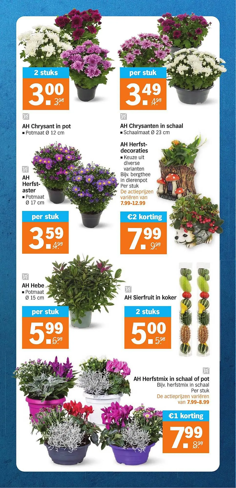 Albert Heijn Folder van 11 september tot 17 september 2023 - Folder pagina 31