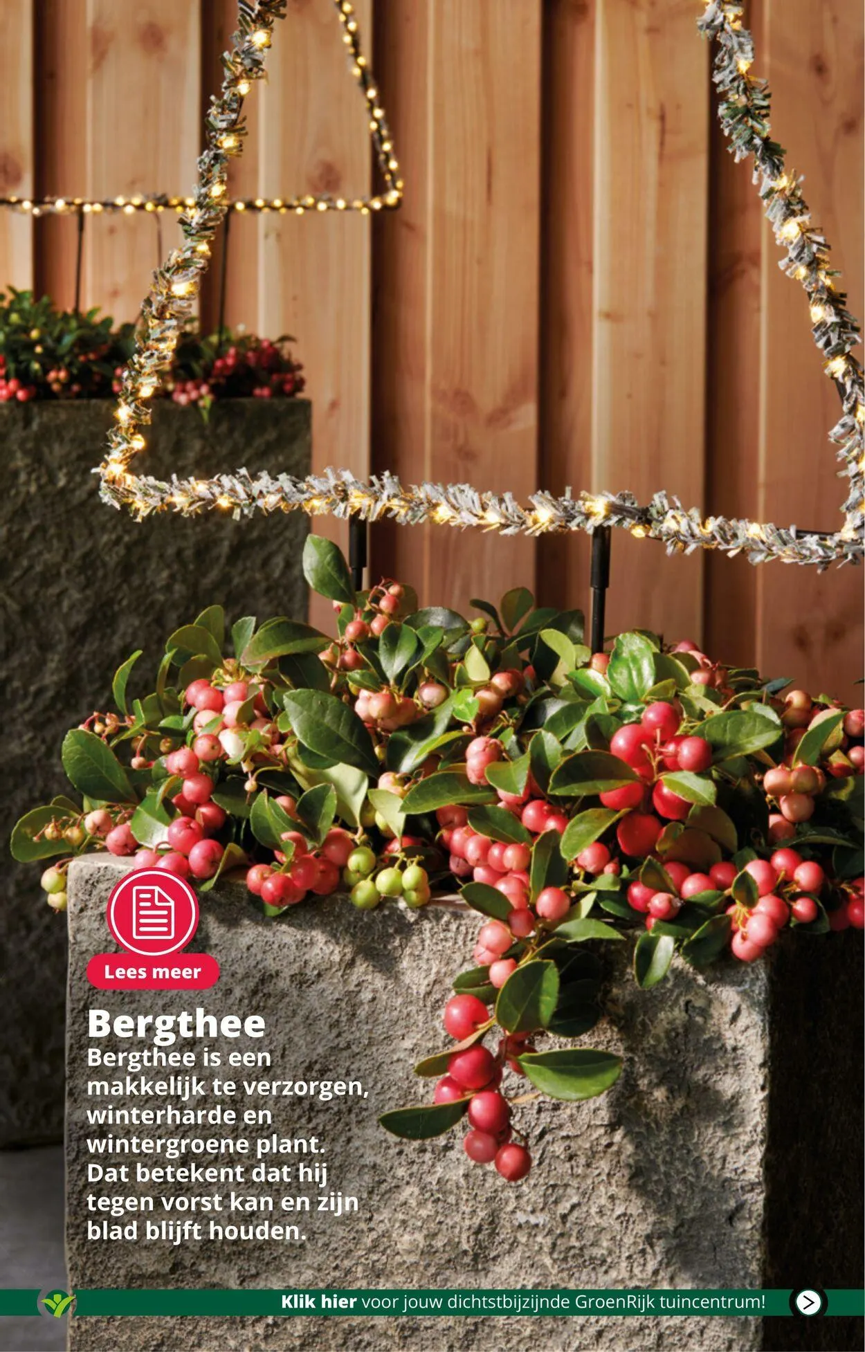 GroenRijk Actuele folder van 18 februari tot 4 maart 2025 - Folder pagina 5