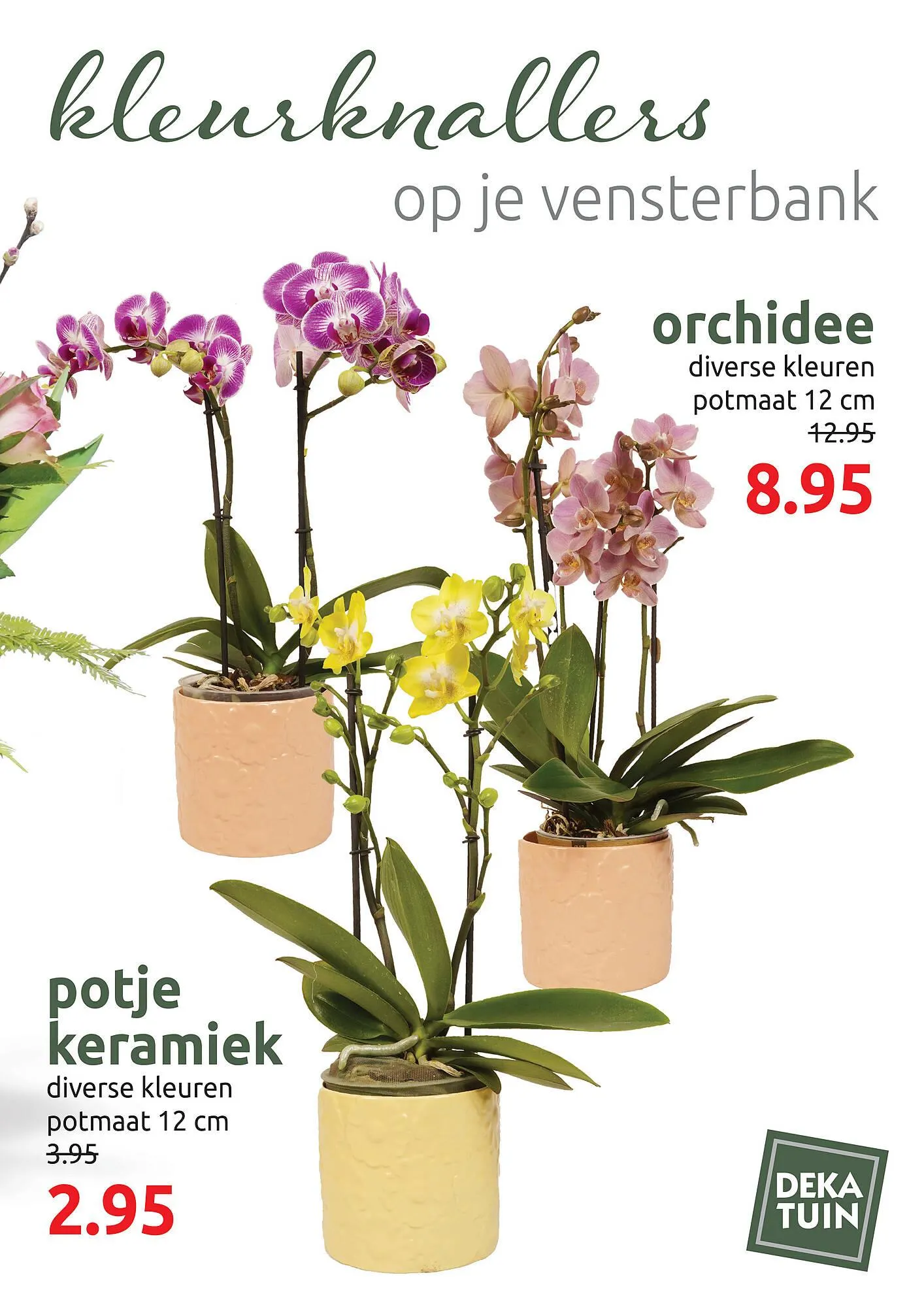 Deka Tuin folder van 31 maart tot 12 april 2025 - Folder pagina 3