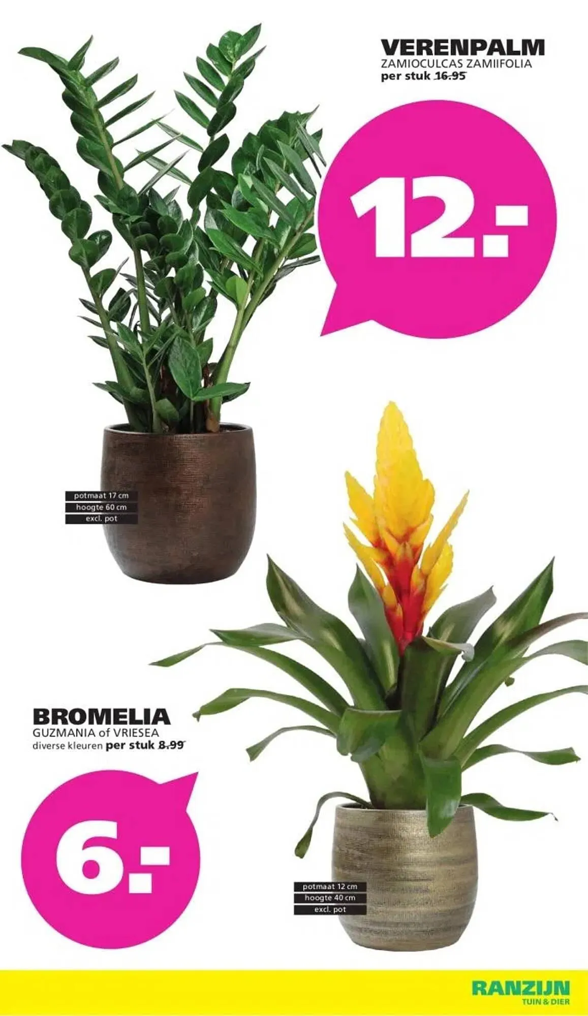 Ranzijn folder van 8 februari tot 21 februari 2026 - Folder pagina 7