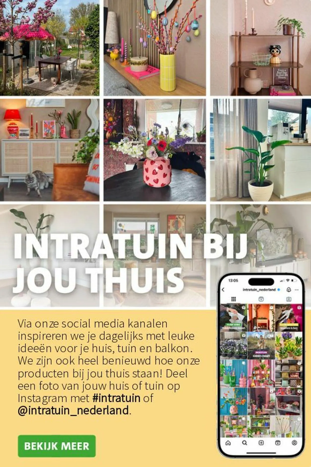 Intratuin van 12 mei tot 18 mei 2025 - Folder pagina 19