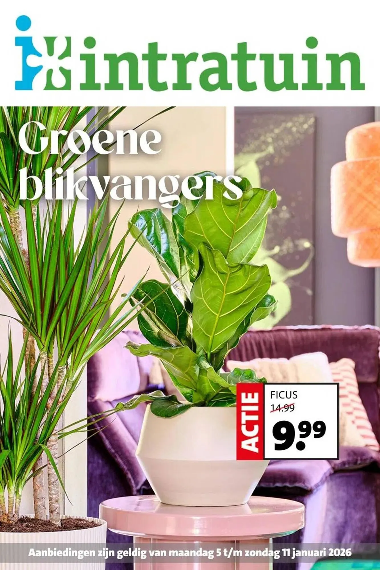 Intratuin folder - 1