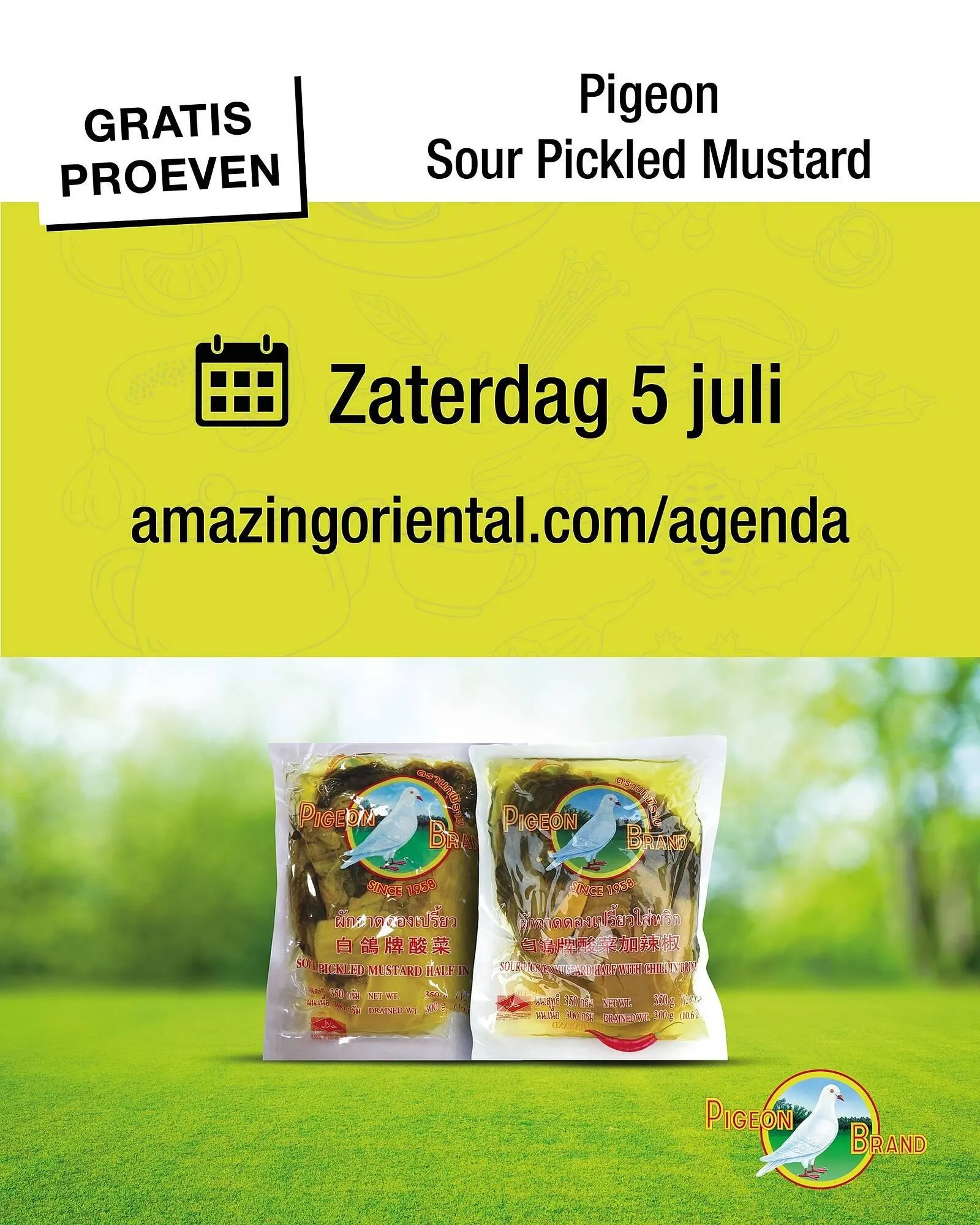 Amazing Oriëntal folder - 1