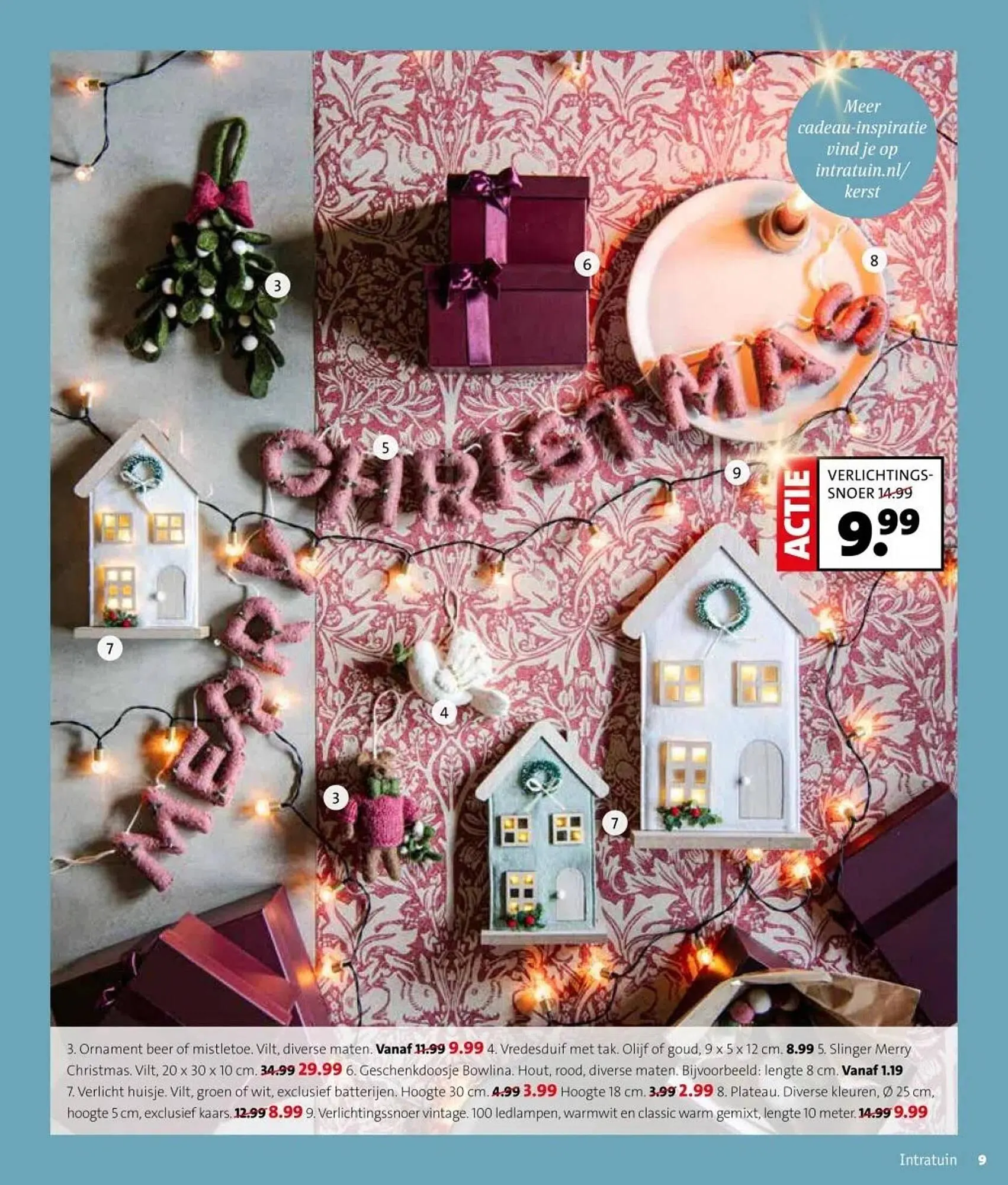Intratuin folder van 17 november tot 23 november 2025 - Folder pagina 9