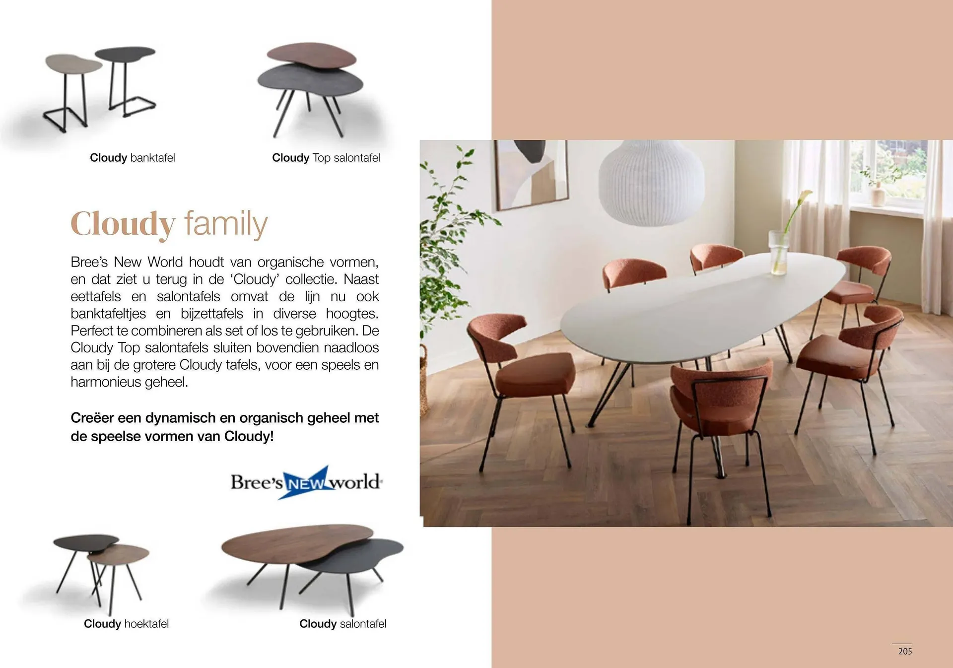 Donjon folder van 9 mei tot 15 mei 2025 - Folder pagina 207