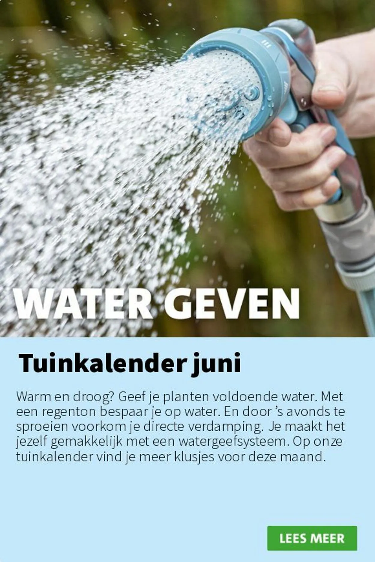 Intratuin Actuele folder van 9 november tot 23 november 2025 - Folder pagina 14