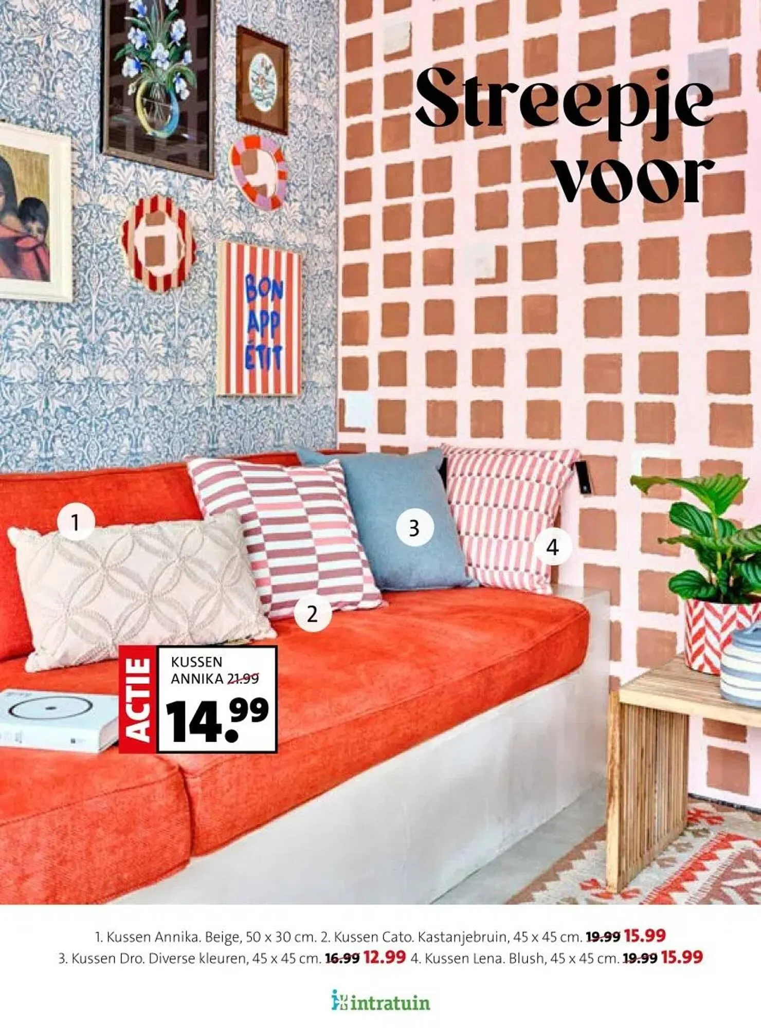 Intratuin folder van 16 februari tot 22 februari 2026 - Folder pagina 10