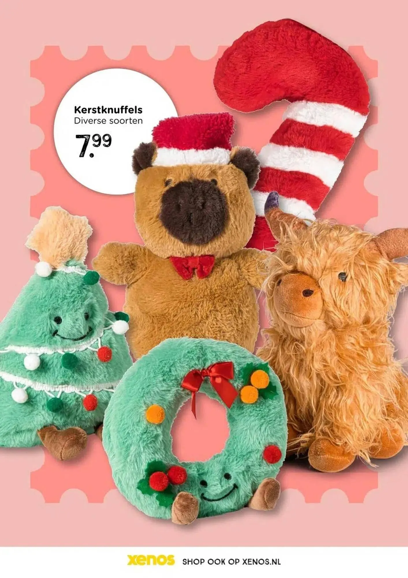 Xenos folder van 26 oktober tot 1 januari 2026 - Folder pagina 66