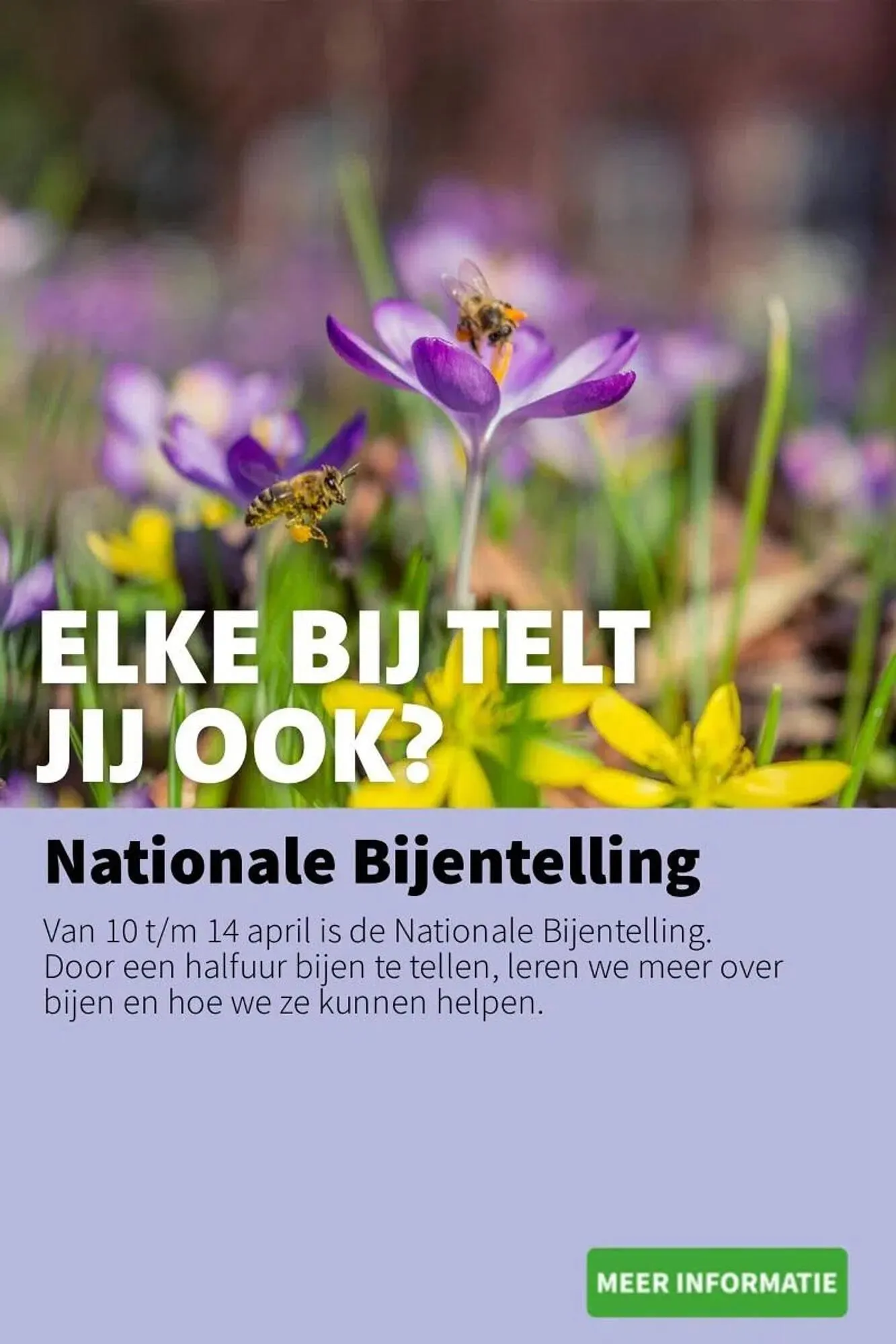 Intratuin folder van 7 april tot 13 april 2025 - Folder pagina 5