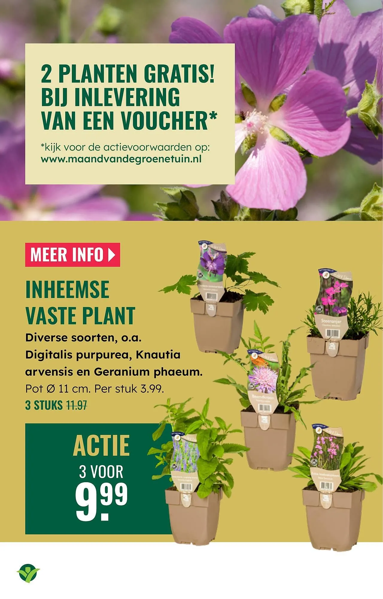 GroenRijk folder van 2 april tot 8 april 2026 - Folder pagina 17