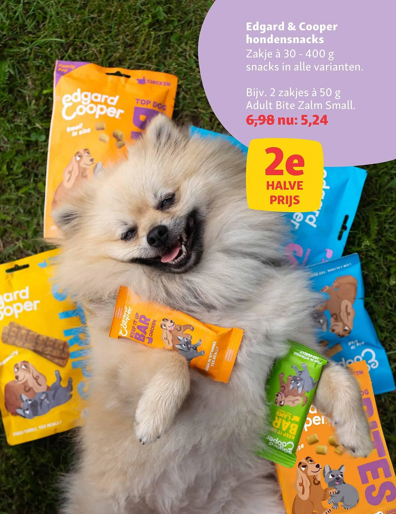 Maxi Zoo folder van 6 oktober tot 12 oktober 2025 - Folder pagina 8
