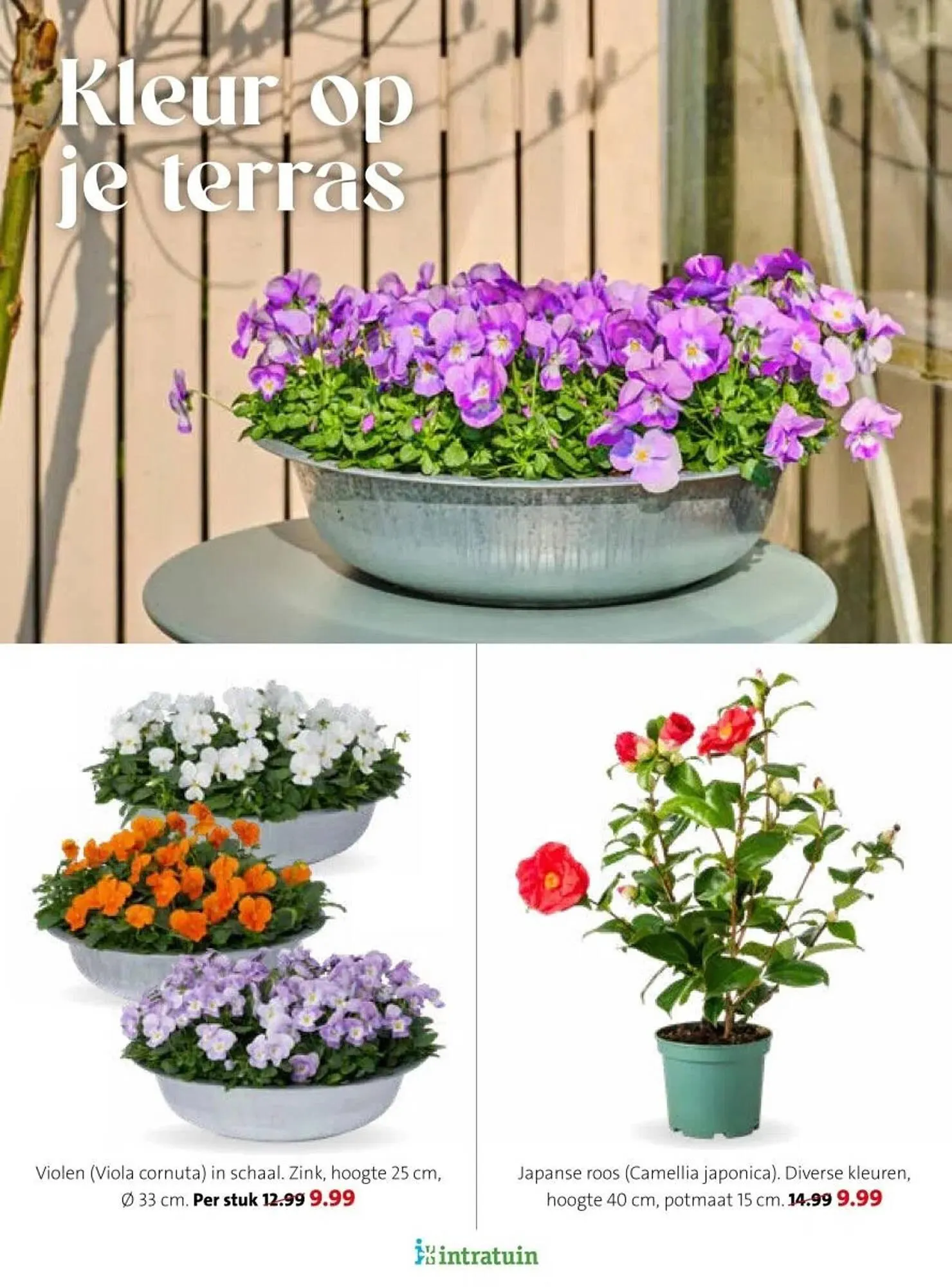 Intratuin folder van 16 februari tot 22 februari 2026 - Folder pagina 17