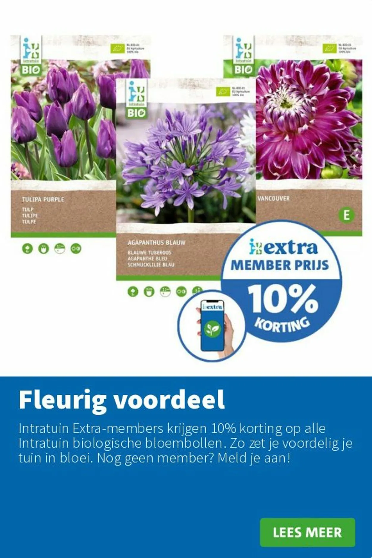 Intratuin Actuele folder van 17 augustus tot 31 augustus 2025 - Folder pagina 5