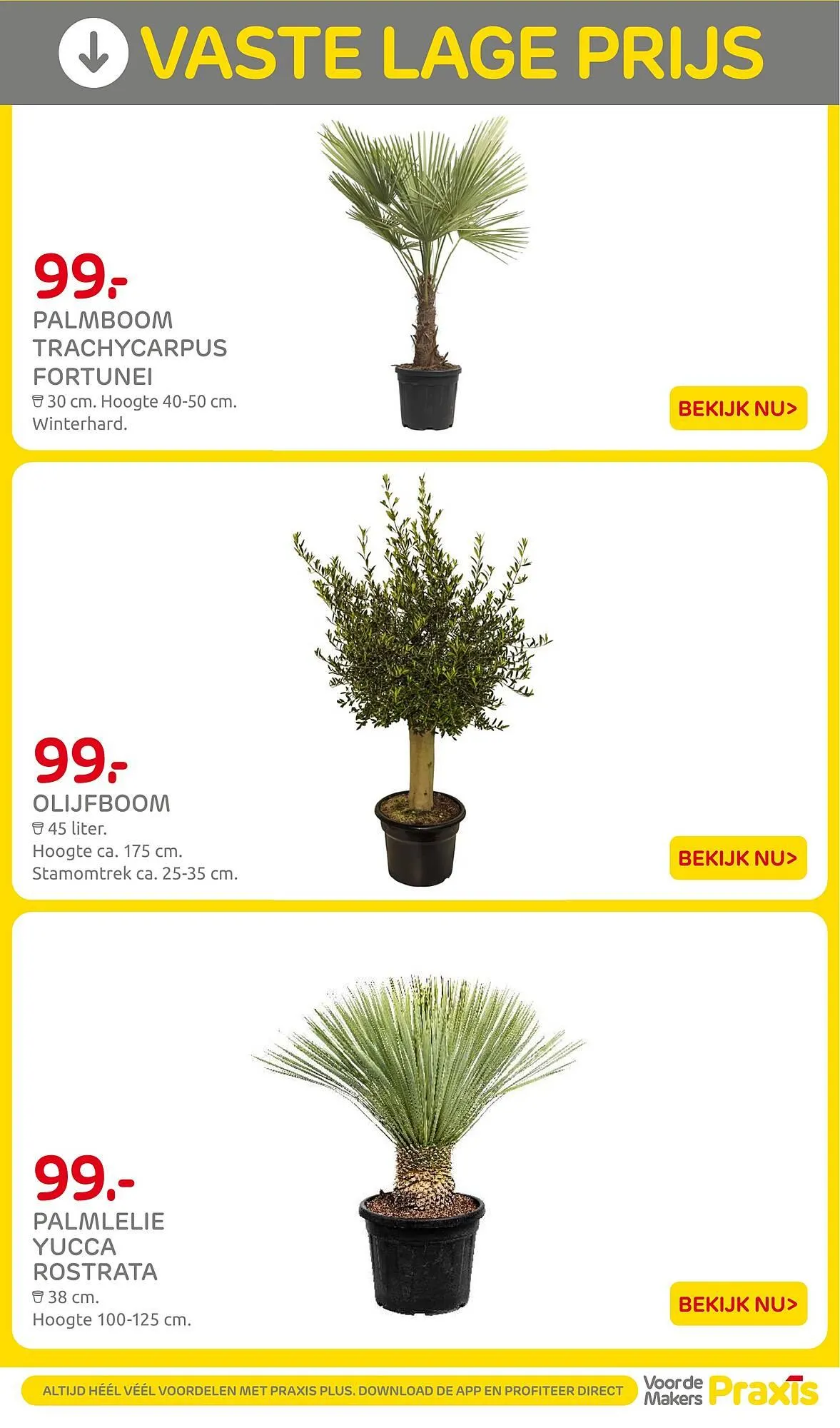 Praxis folder van 27 april tot 27 april 2026 - Folder pagina 2