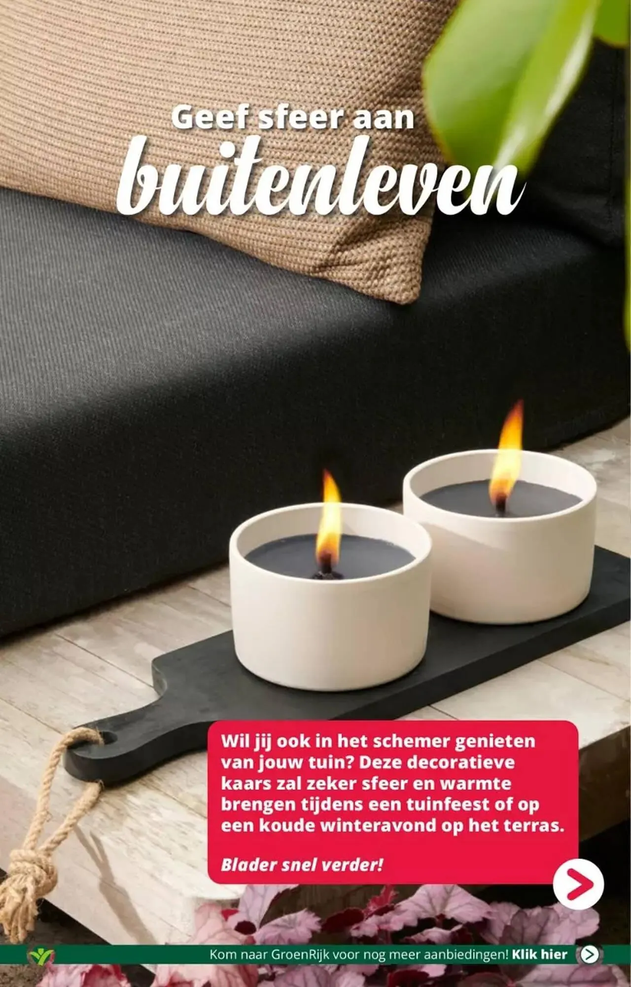 GroenRijk folder van 30 augustus tot 5 september 2023 - Folder pagina 18