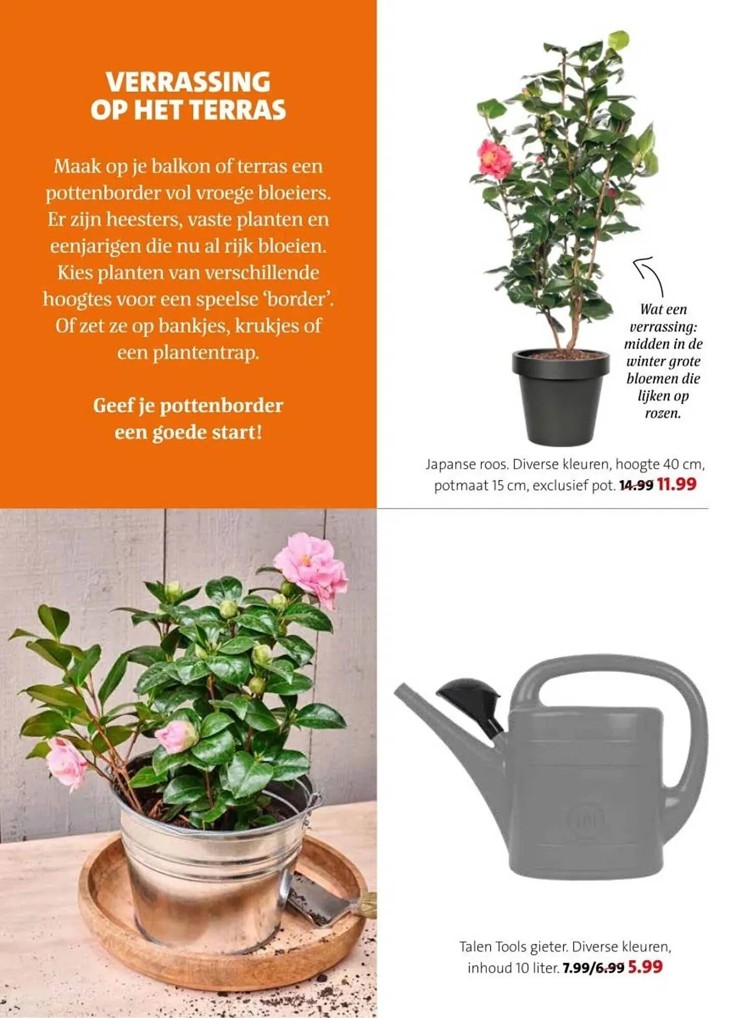 Intratuin folder van 17 februari tot 23 februari 2025 - Folder pagina 6
