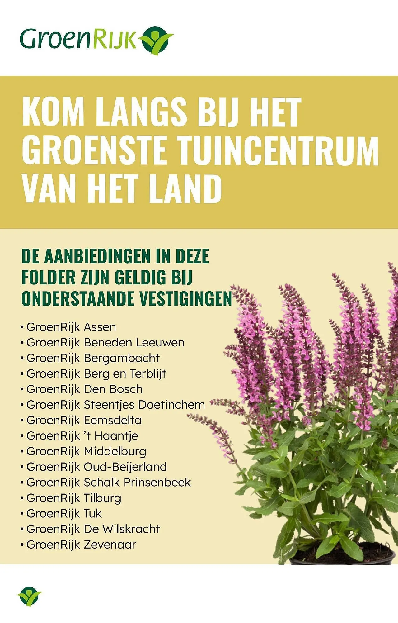 GroenRijk folder van 4 juni tot 17 juni 2025 - Folder pagina 2