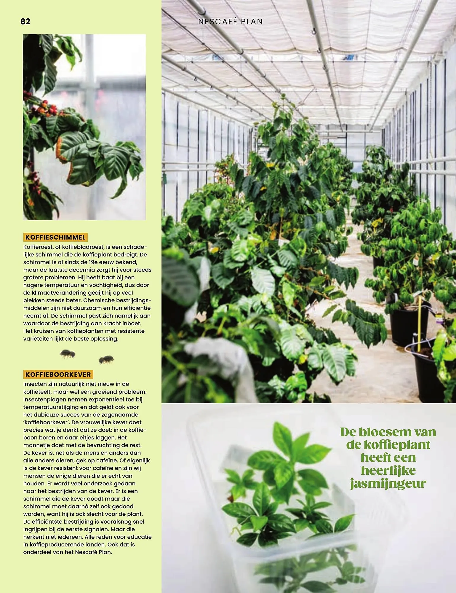 BOON magazine van 1 oktober tot 31 december 2023 - Folder pagina 82