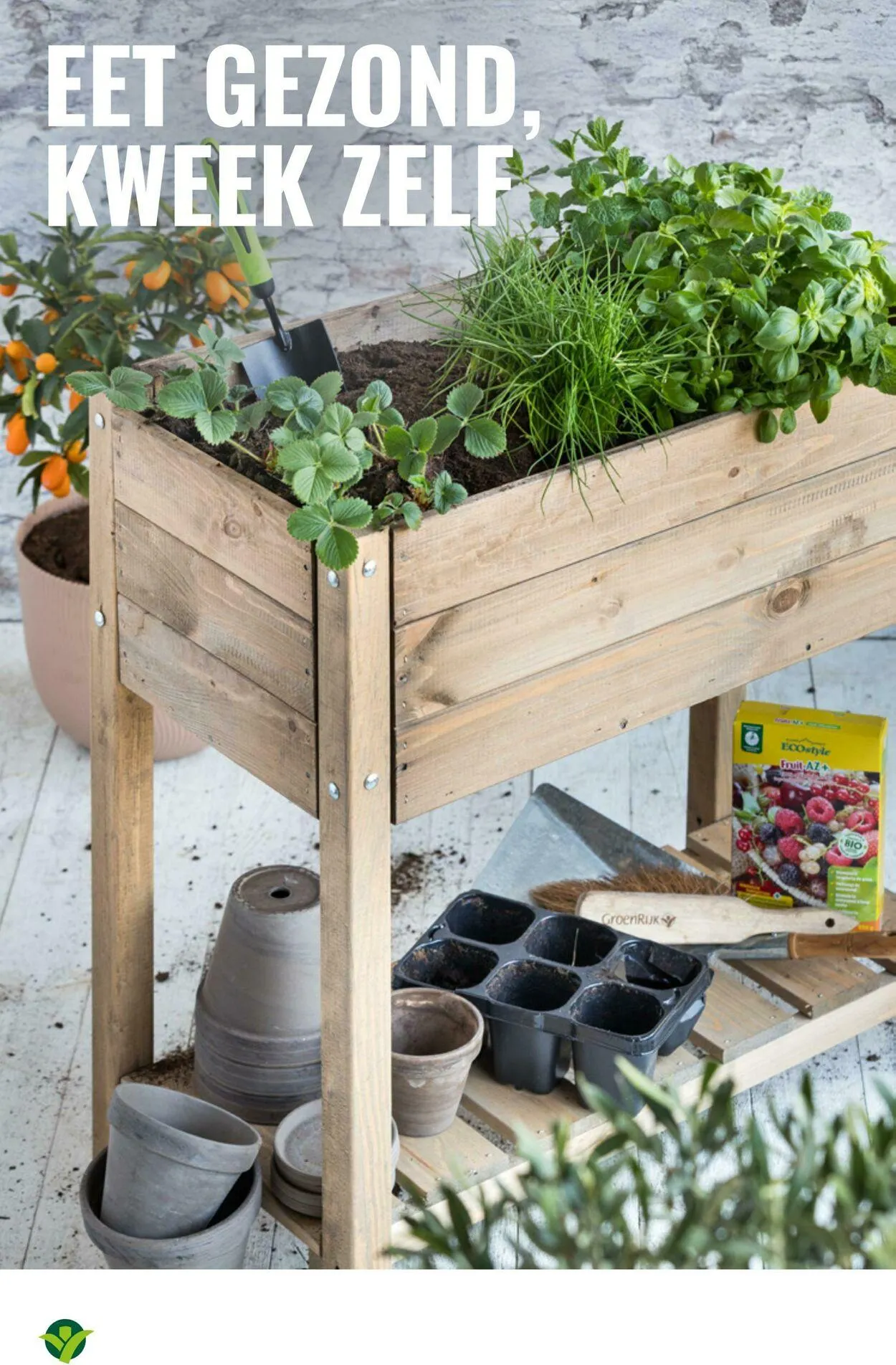 GroenRijk Actuele folder van 2 september tot 16 september 2025 - Folder pagina 12