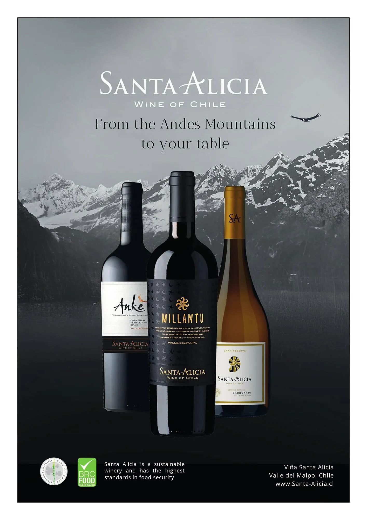 Sligro folder van 29 januari tot 16 februari 2026 - Folder pagina 16