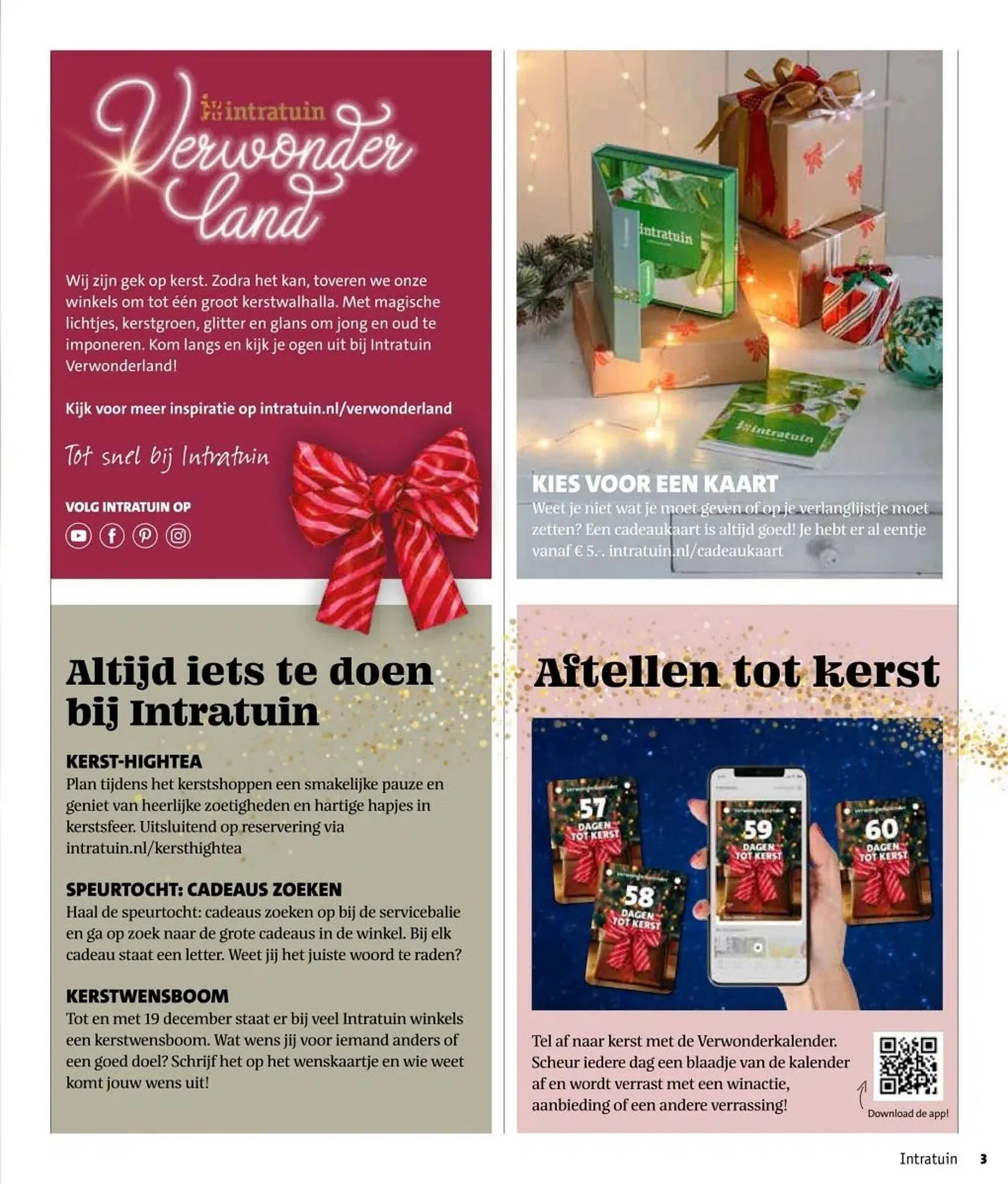 Intratuin folder van 27 oktober tot 2 november 2025 - Folder pagina 3