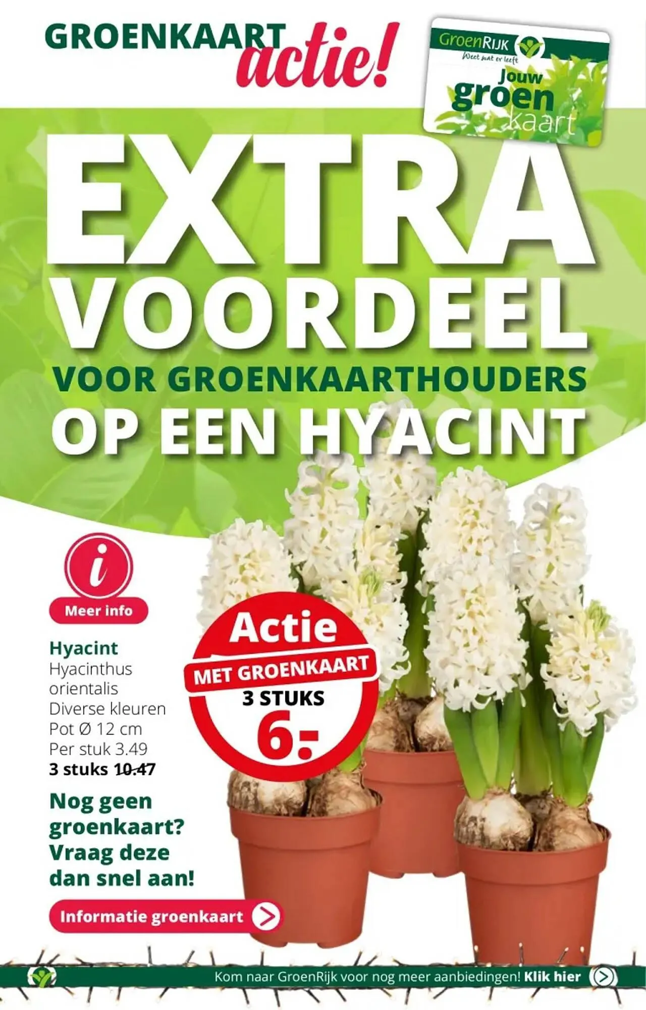 GroenRijk folder van 29 november tot 5 december 2023 - Folder pagina 14