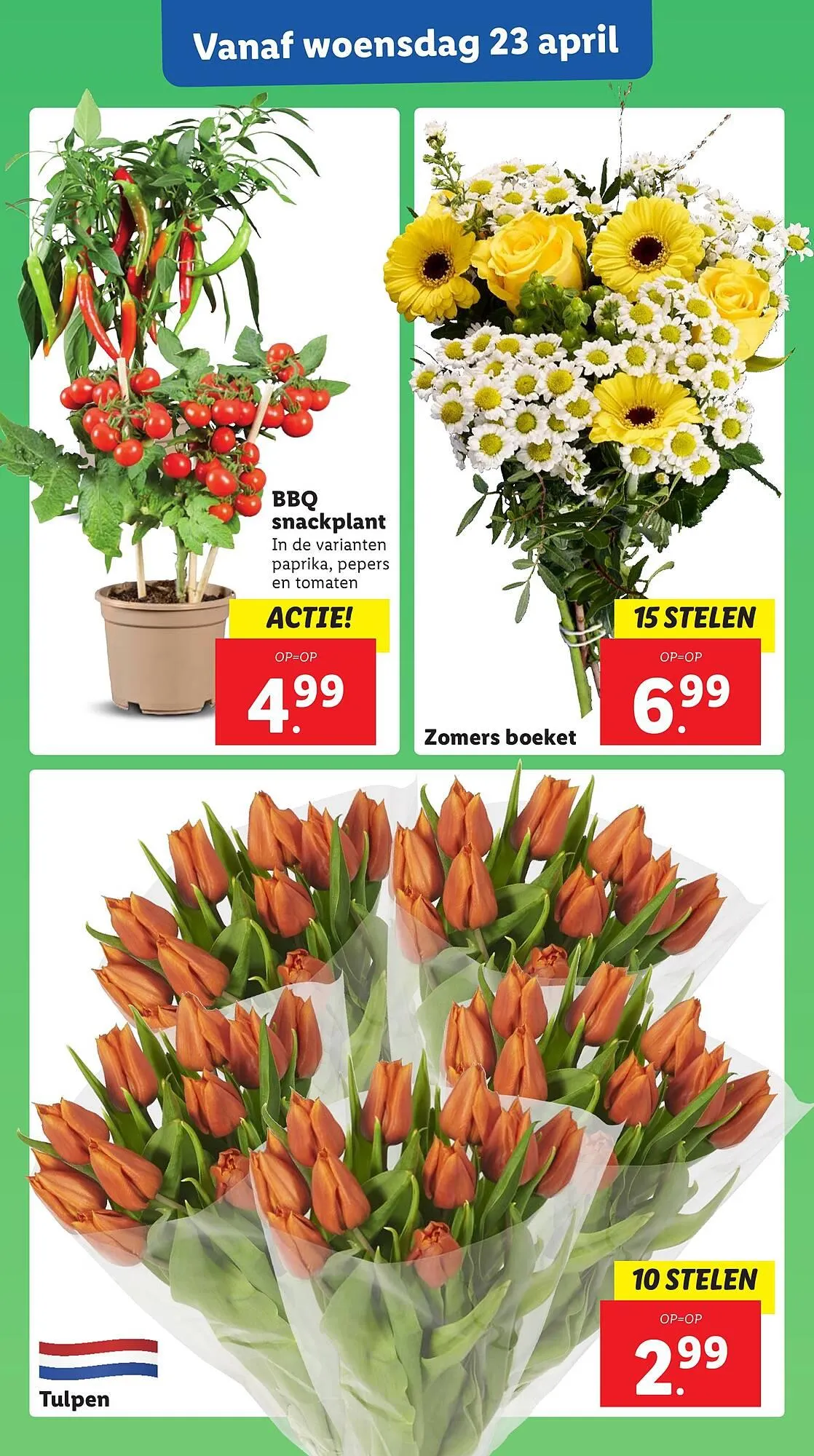 Lidl folder van 22 april tot 27 april 2025 - Folder pagina 29