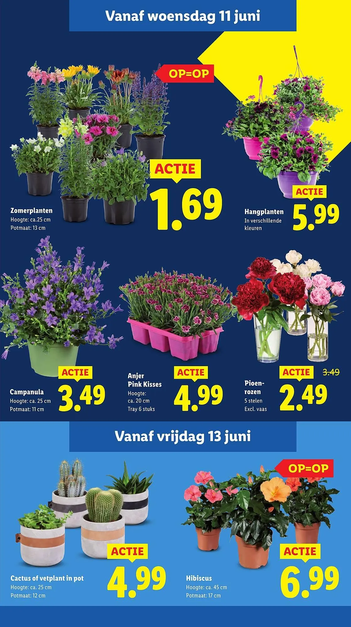 Lidl folder van 10 juni tot 15 juni 2025 - Folder pagina 16