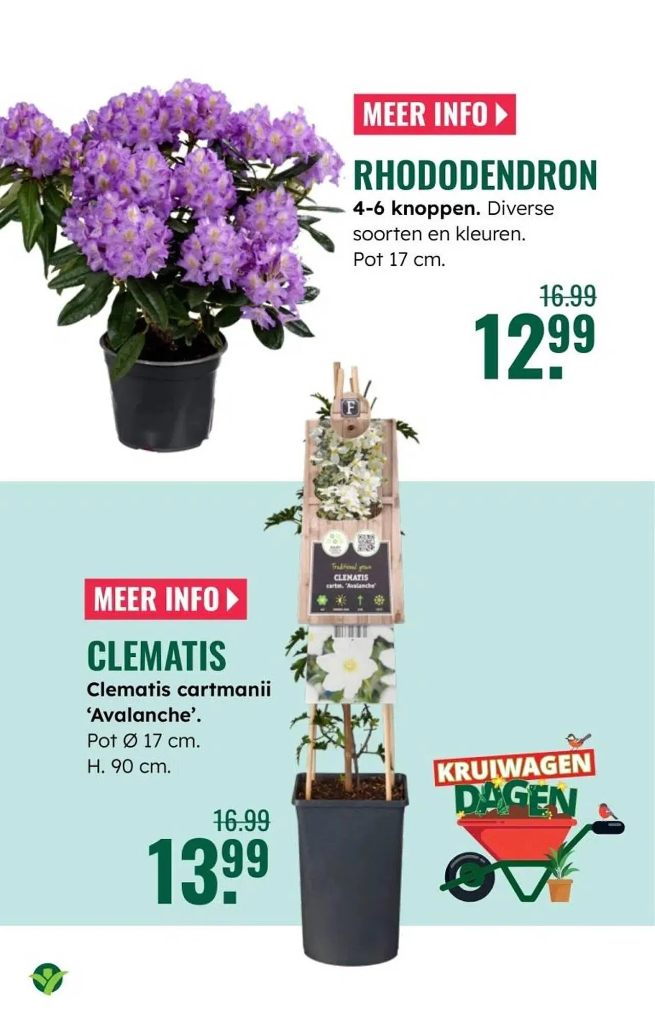 GroenRijk folder van 5 maart tot 11 maart 2026 - Folder pagina 13