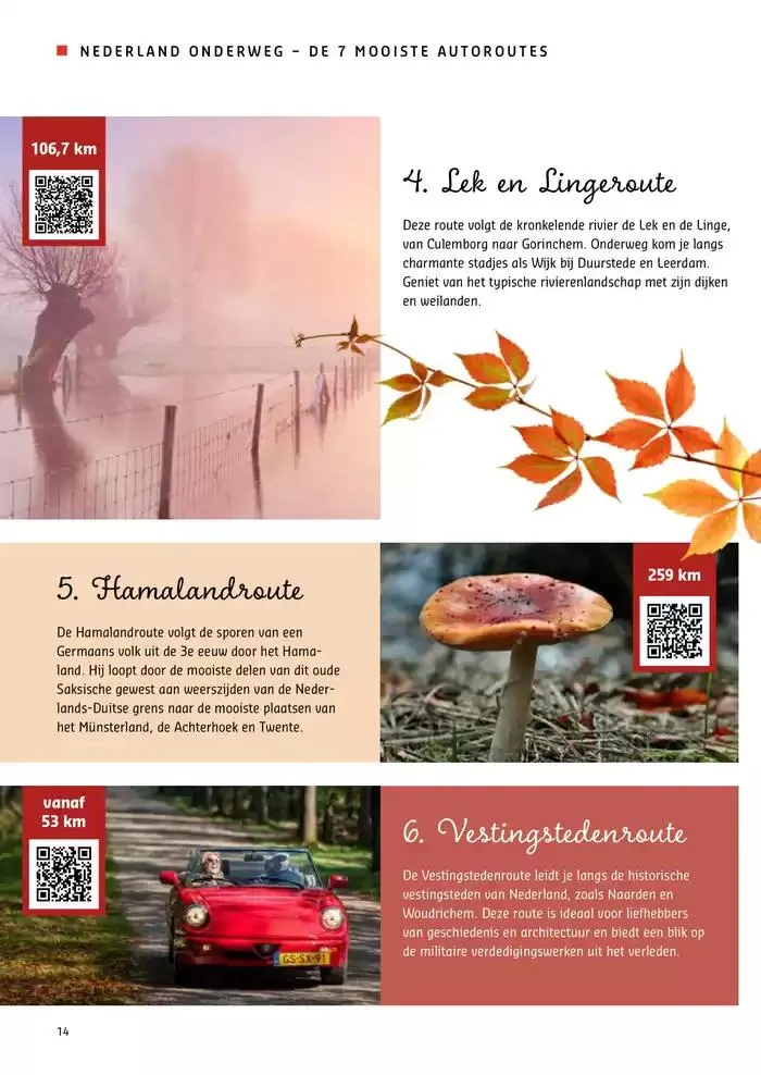 Dichtbij van 18 november tot 2 december 2024 - Folder pagina 14