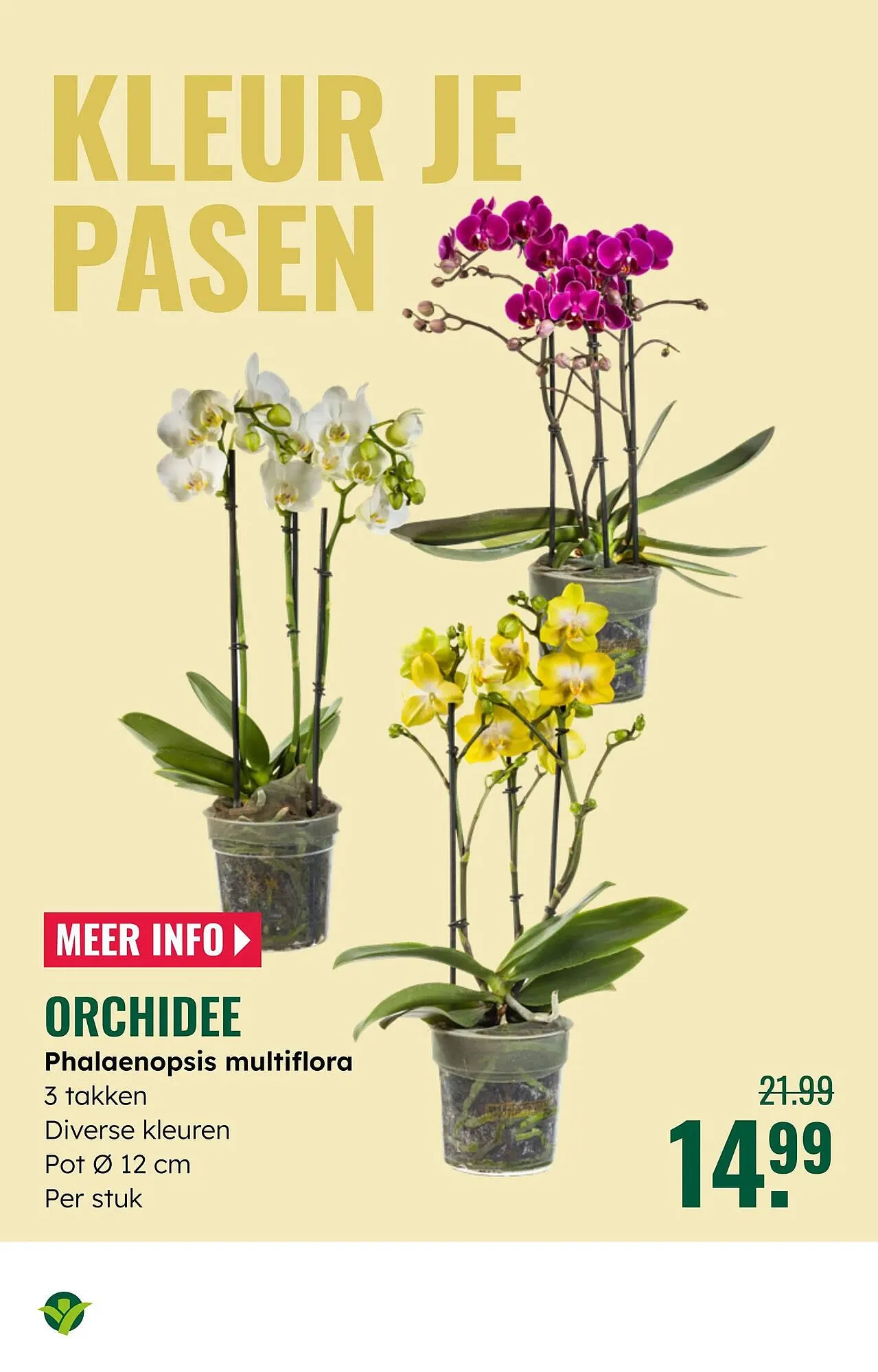 GroenRijk folder van 16 april tot 29 april 2025 - Folder pagina 15