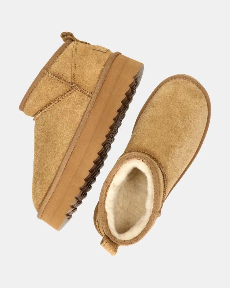 Colors of California