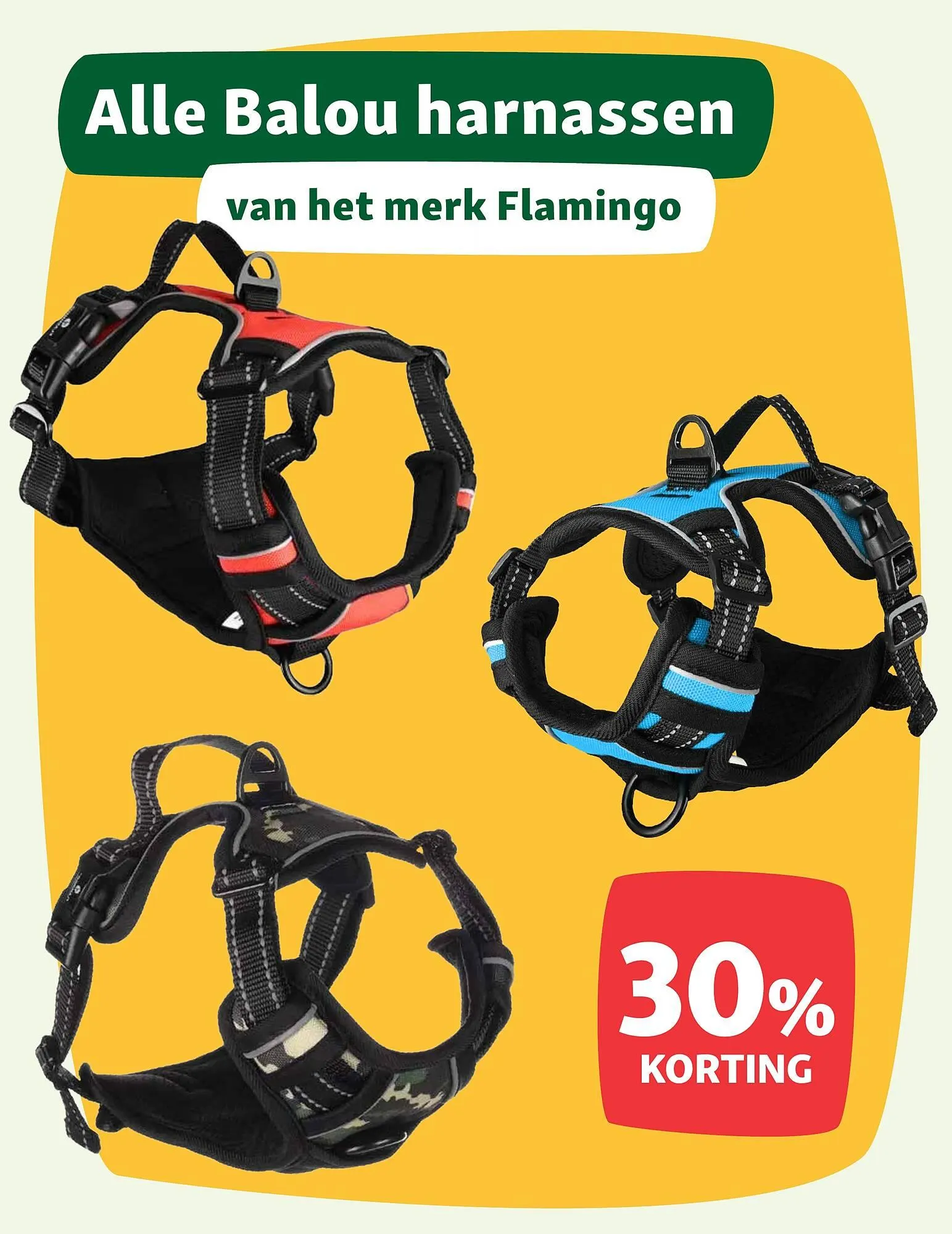 Maxi Zoo folder van 6 oktober tot 12 oktober 2025 - Folder pagina 10