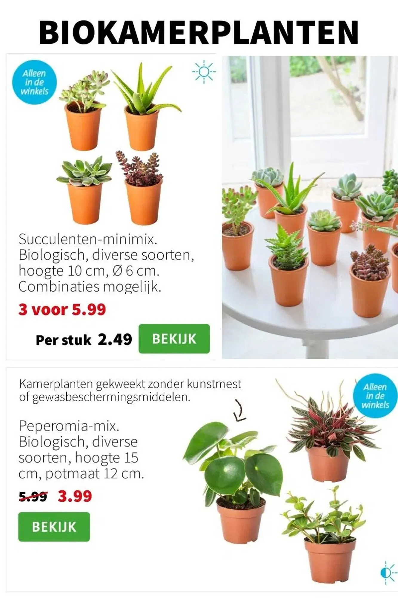 Intratuin folder van 14 juli tot 20 juli 2025 - Folder pagina 3