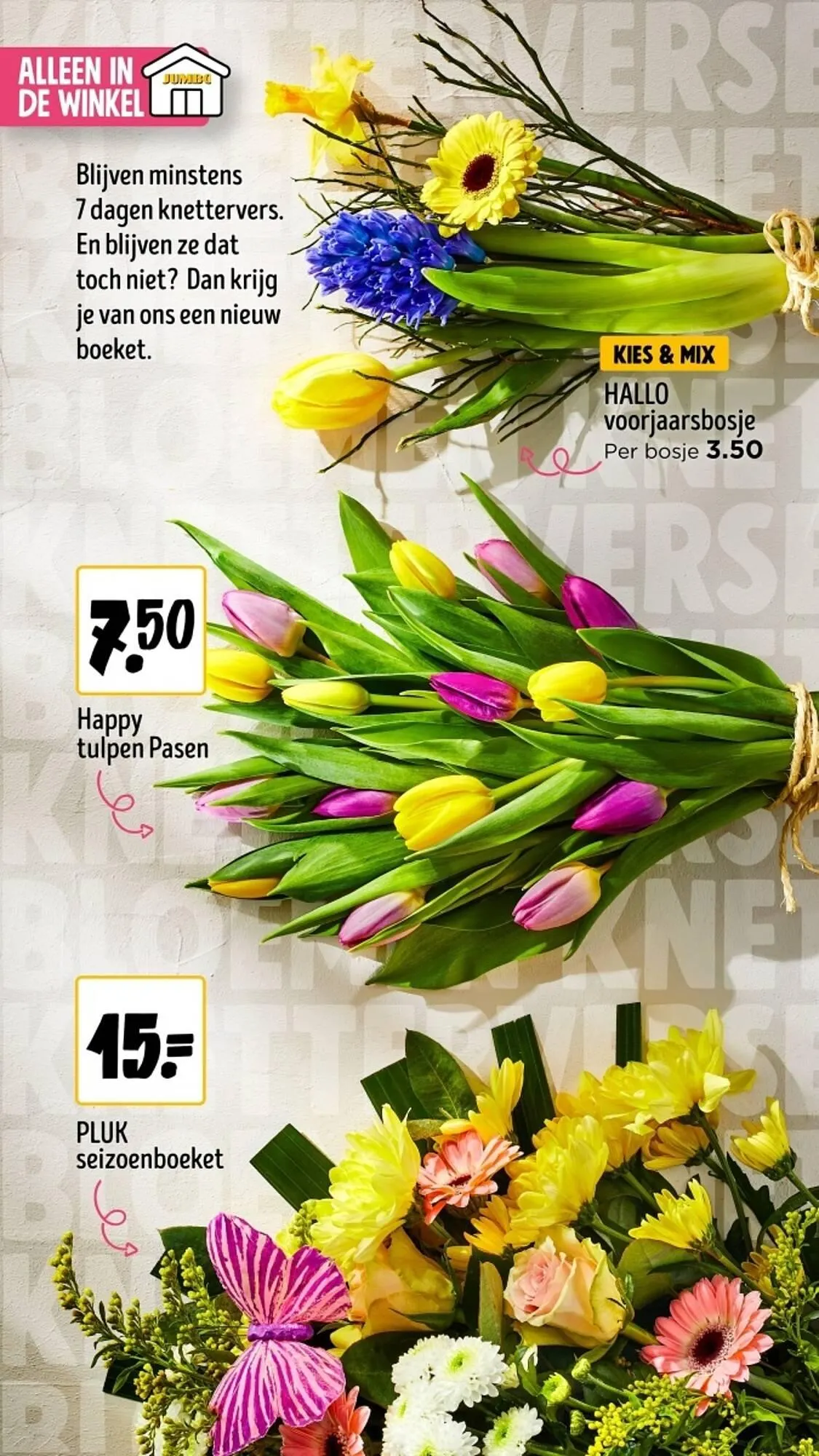 Jumbo Paasmagazine van 21 maart tot 6 april 2026 - Folder pagina 36