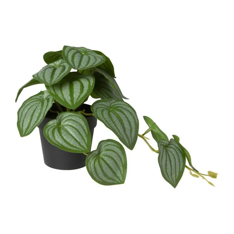 Kunstplant peperomia - 17 cm