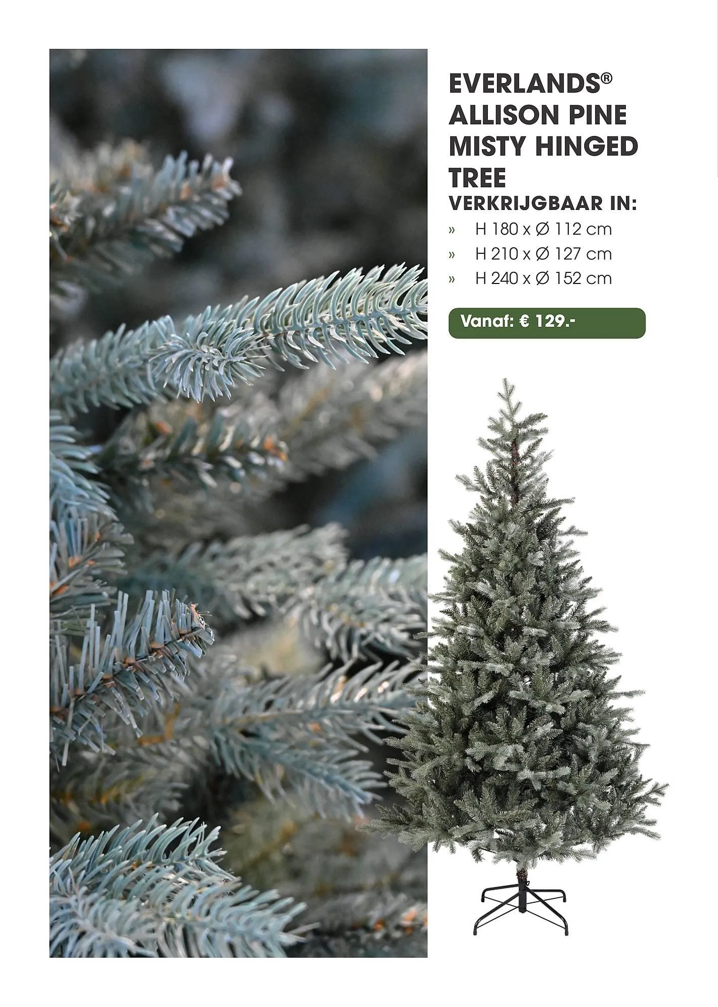 Coppelmans kerstbomencatalogus van 12 november tot 24 december 2025 - Folder pagina 25