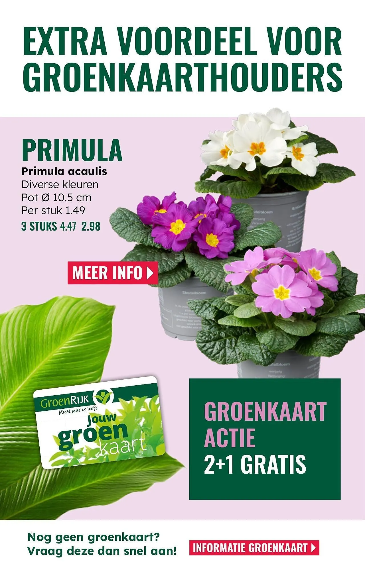 GroenRijk folder van 5 maart tot 18 maart 2025 - Folder pagina 4