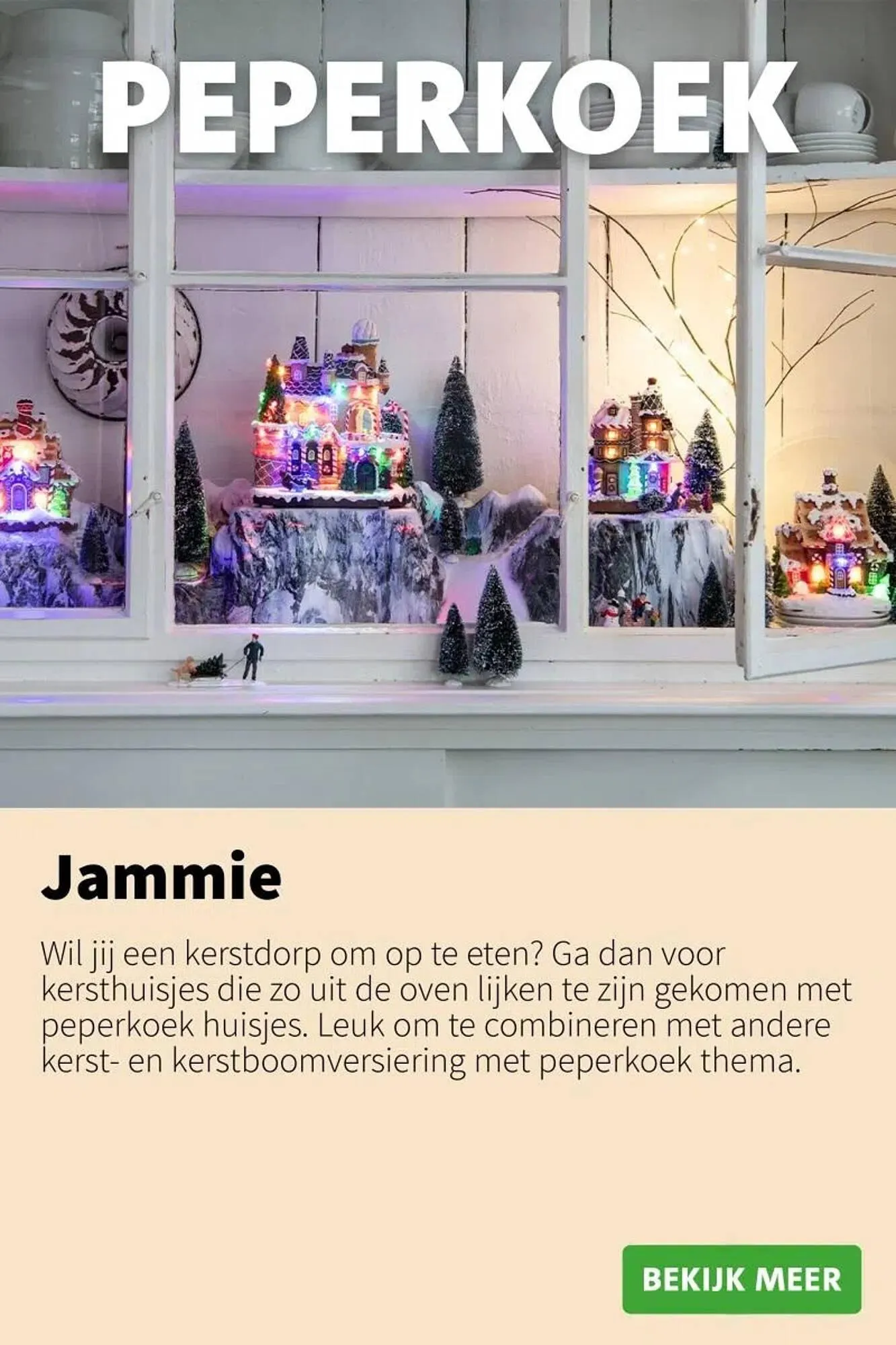 Intratuin folder van 9 oktober tot 24 december 2025 - Folder pagina 10