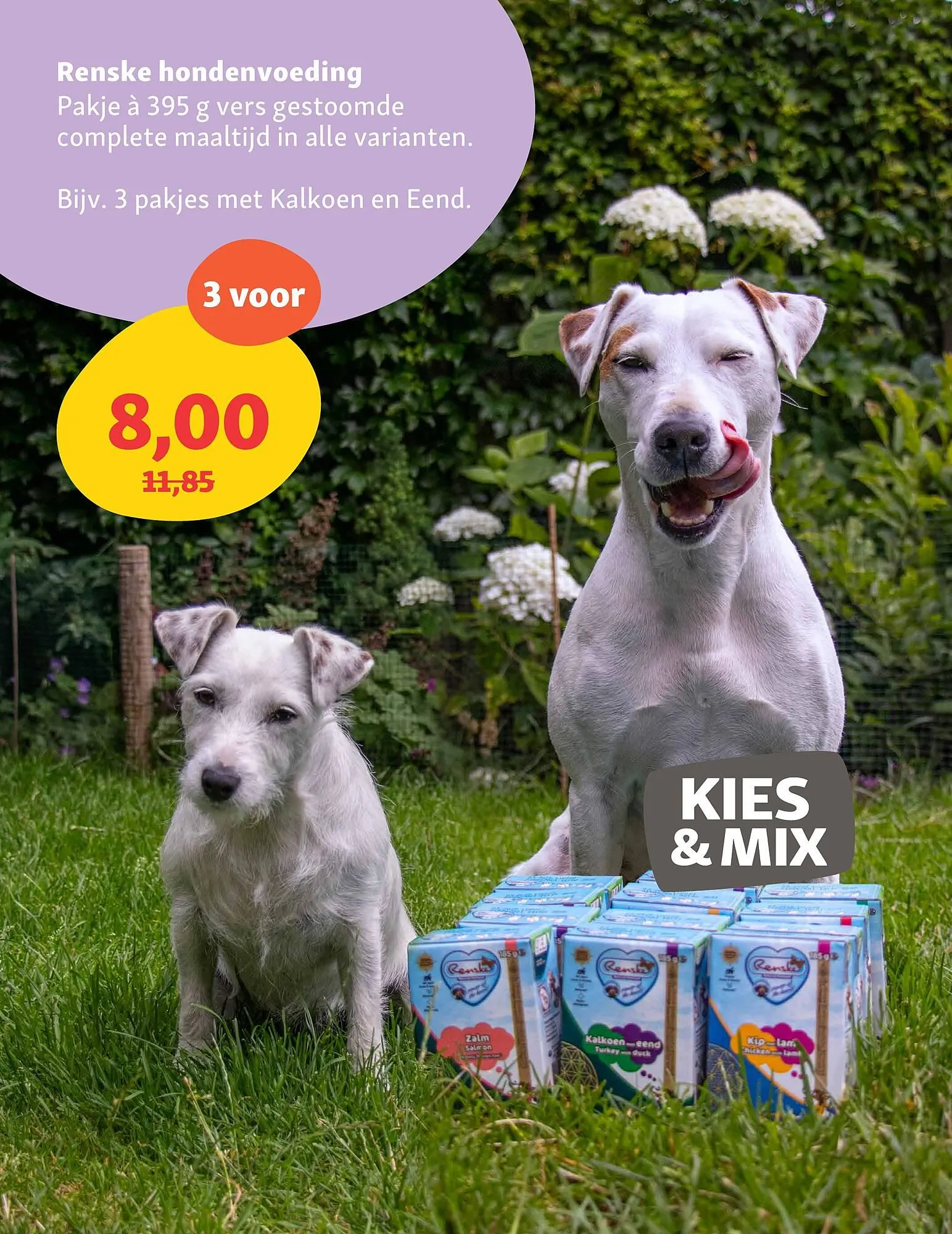 Maxi Zoo folder van 5 mei tot 11 mei 2025 - Folder pagina 9