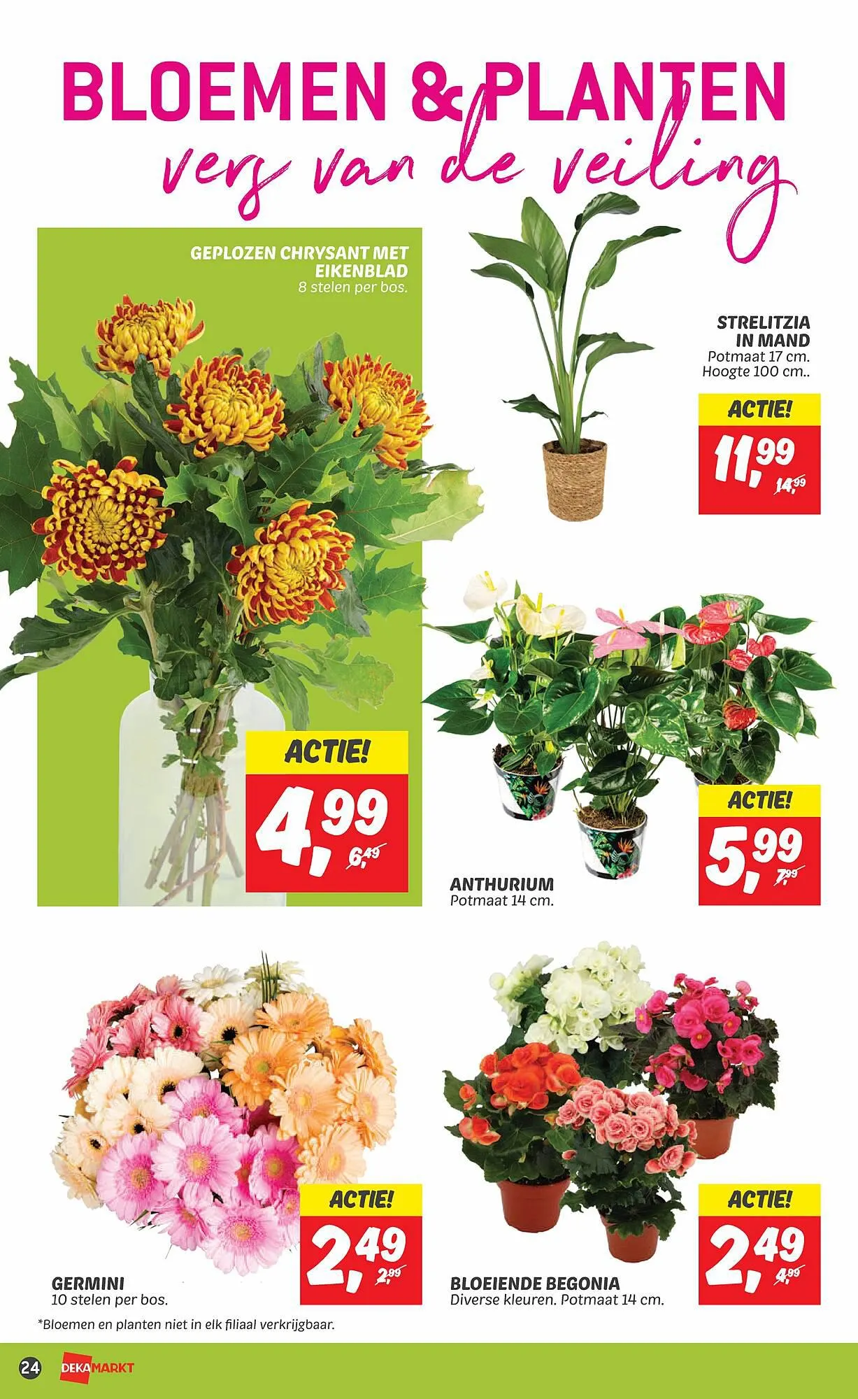 Dekamarkt folder week 39 van 24 september tot 30 september 2023 - Folder pagina 26