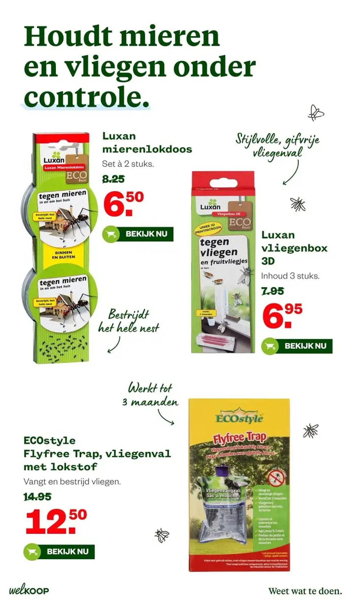 Welkoop folder van 11 mei tot 24 mei 2026 - Folder pagina 19